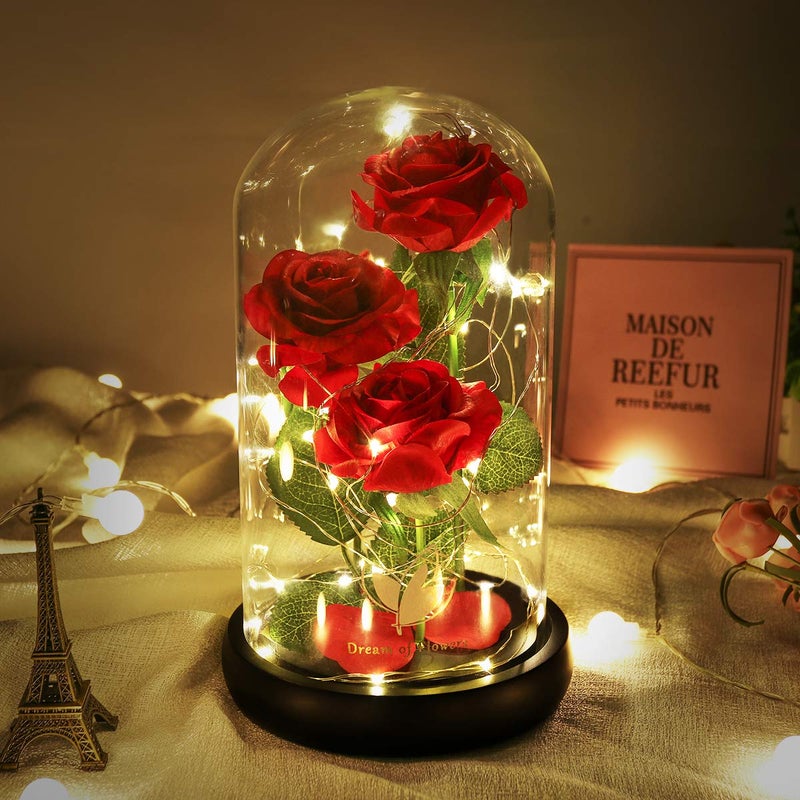 Dream of Flowers Beauty and The Beast Rose, Classic Red Rose with LED Lights and Falling Petals, Gifts for Women, Birthday Gifts for Women, Light Up Rose in Glass Dome, Valentine's Day Gifts for her - Image 1
